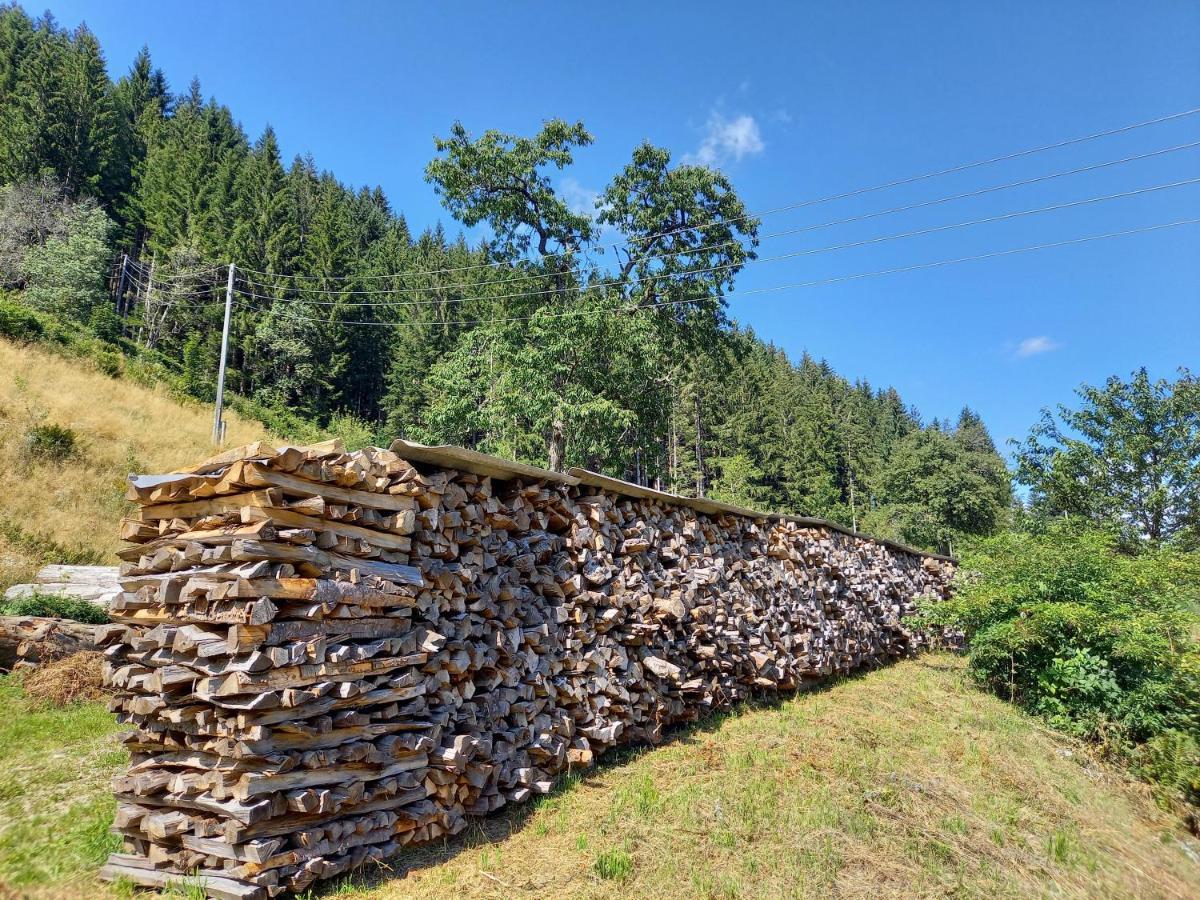 Landhaus Gruenjuwel Himmelberg Luaran gambar