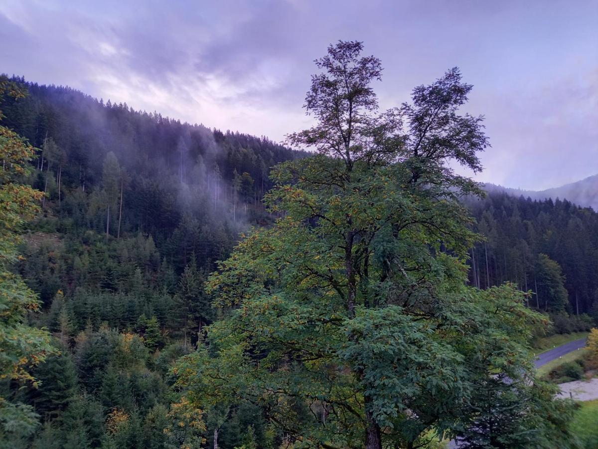 Landhaus Gruenjuwel Himmelberg Luaran gambar