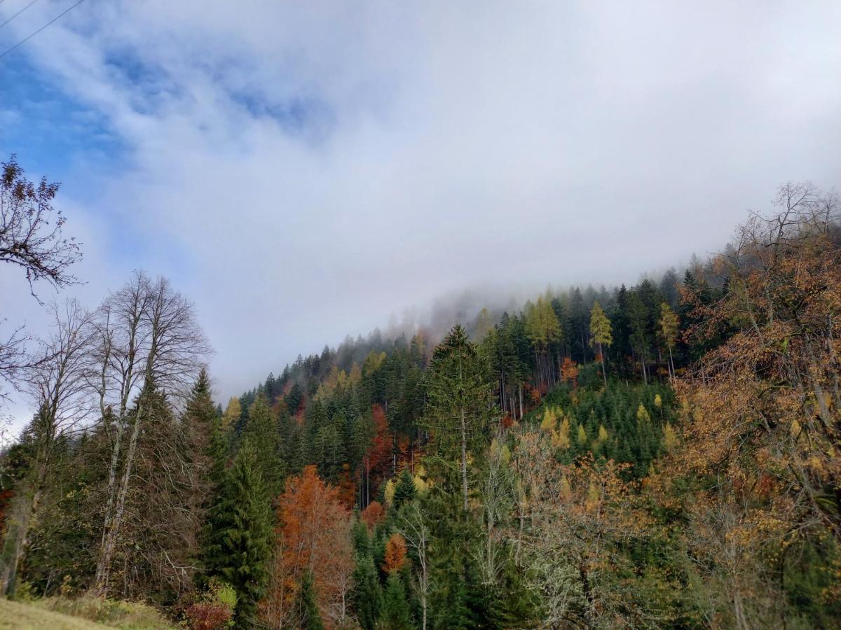 Landhaus Gruenjuwel Himmelberg Luaran gambar